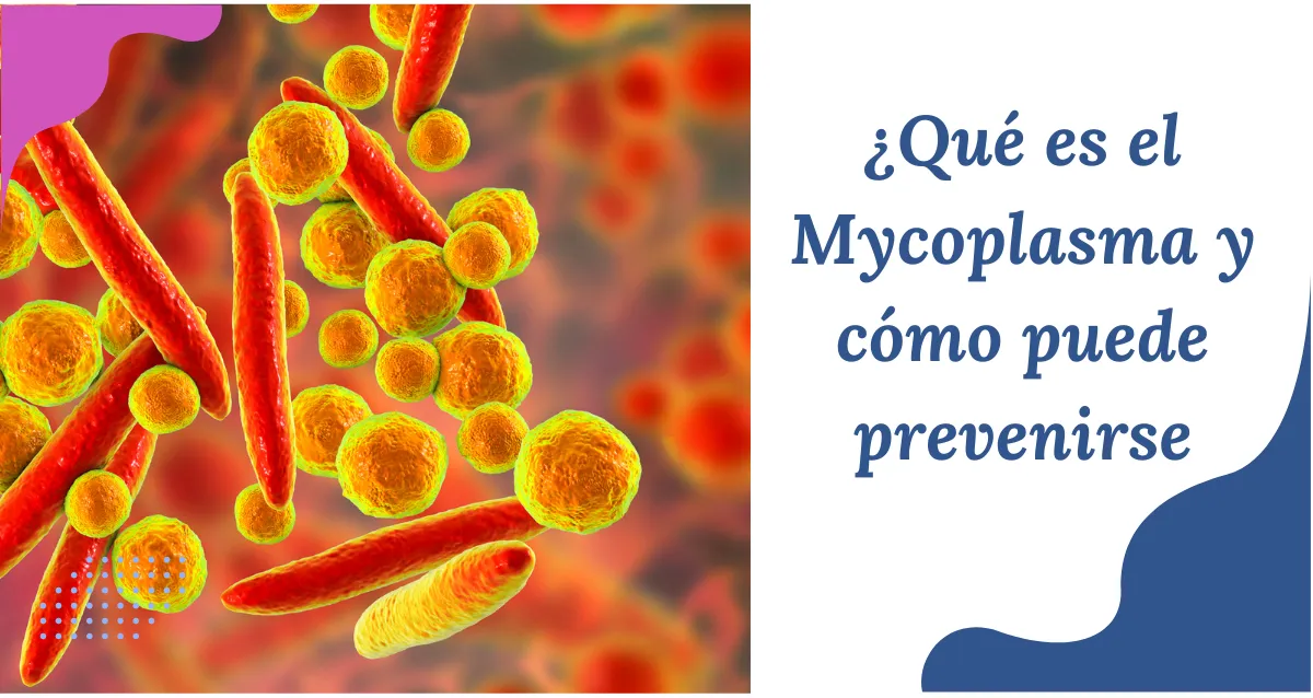 mycoplasma